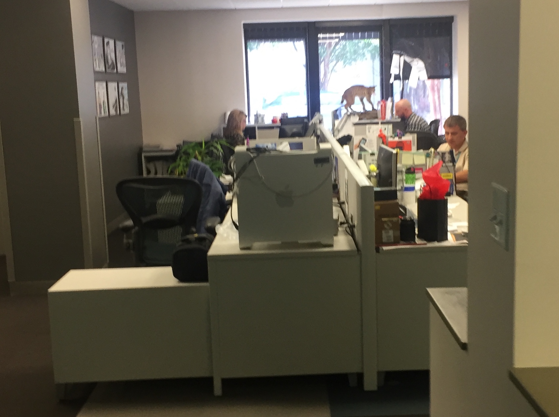 2018-09-18 11.05.52 copy