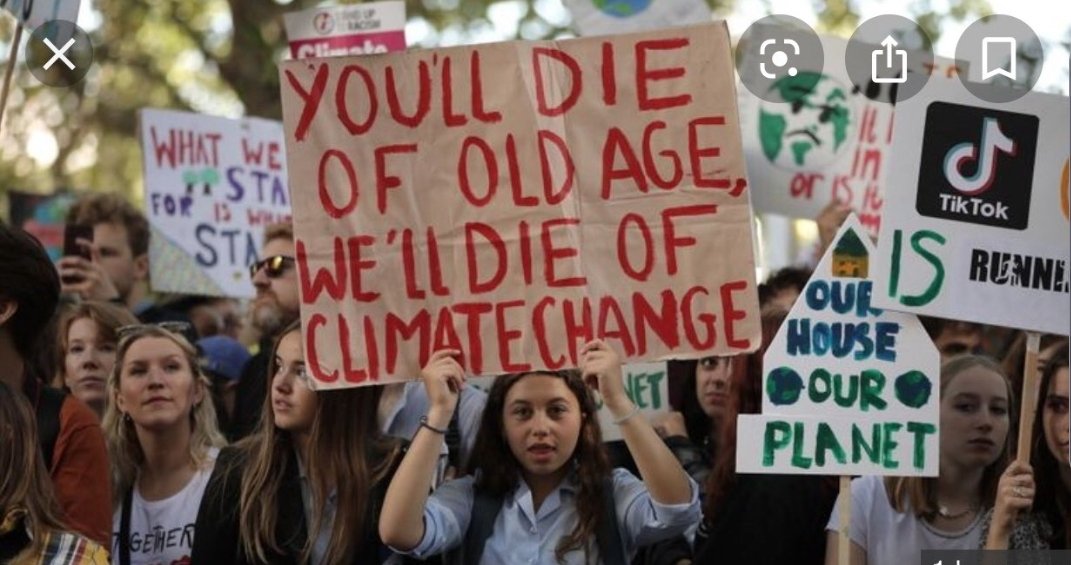 protest signs